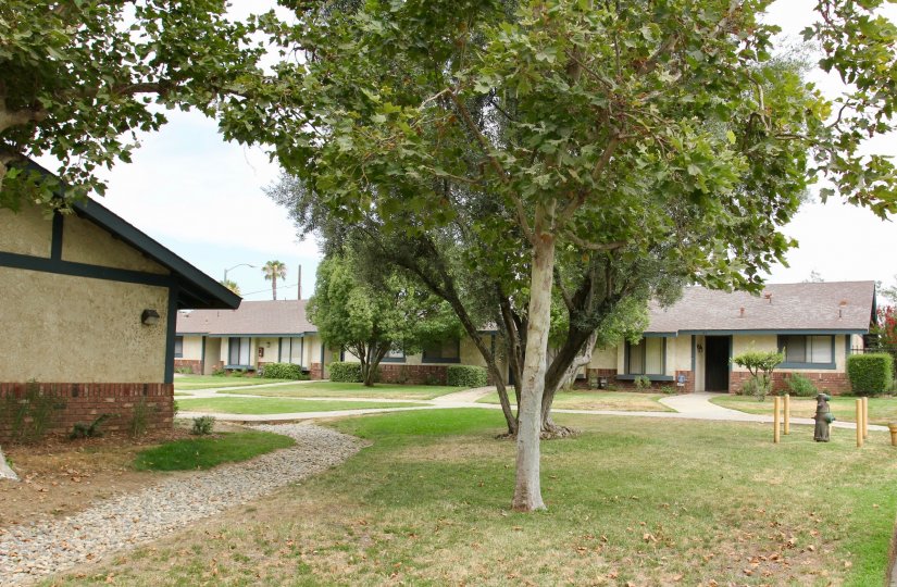 Olivewood Village Condos, Lofts & Townhomes For Sale | Olivewood