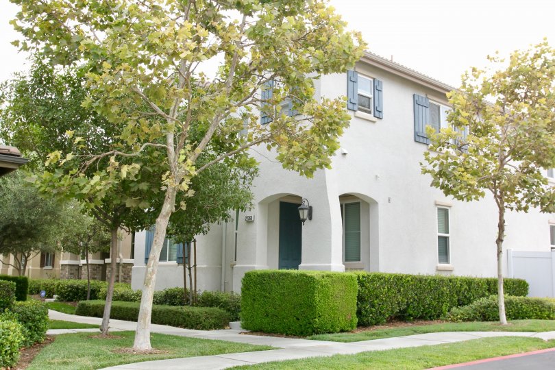 Parkside at Towngate Condos, Lofts & Townhomes For Sale Parkside at Towngate Real Estate