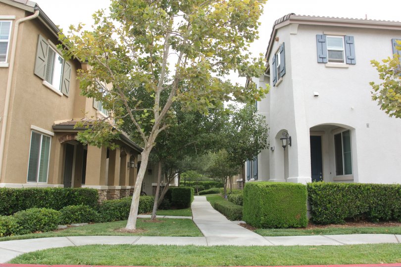 Parkside at Towngate Condos, Lofts & Townhomes For Sale Parkside at