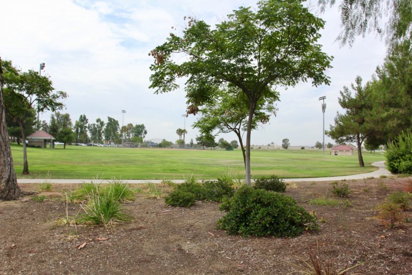 Parkside at Towngate Condos, Lofts & Townhomes For Sale Parkside at Towngate Real Estate