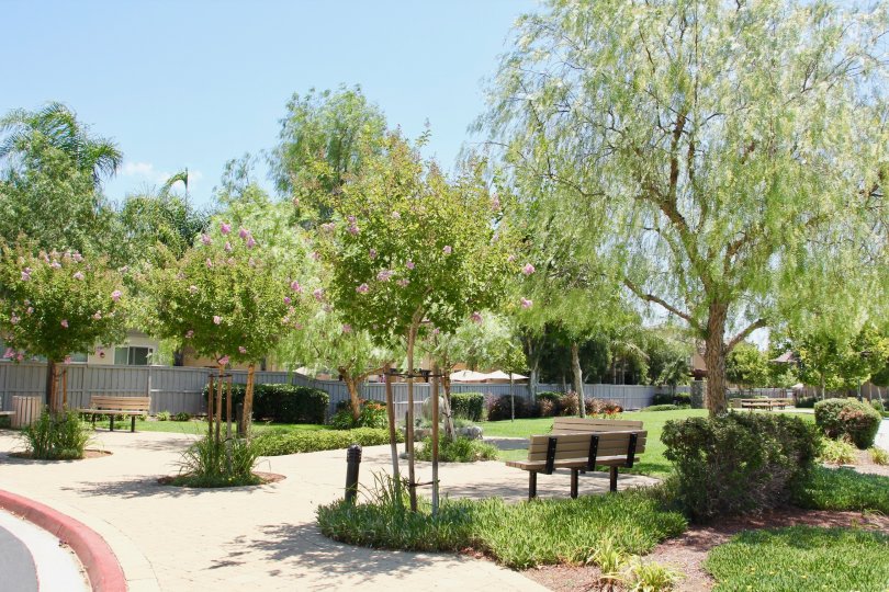 Amberwalk at Ivy Condos, Lofts & Townhomes For Sale Amberwalk at Ivy