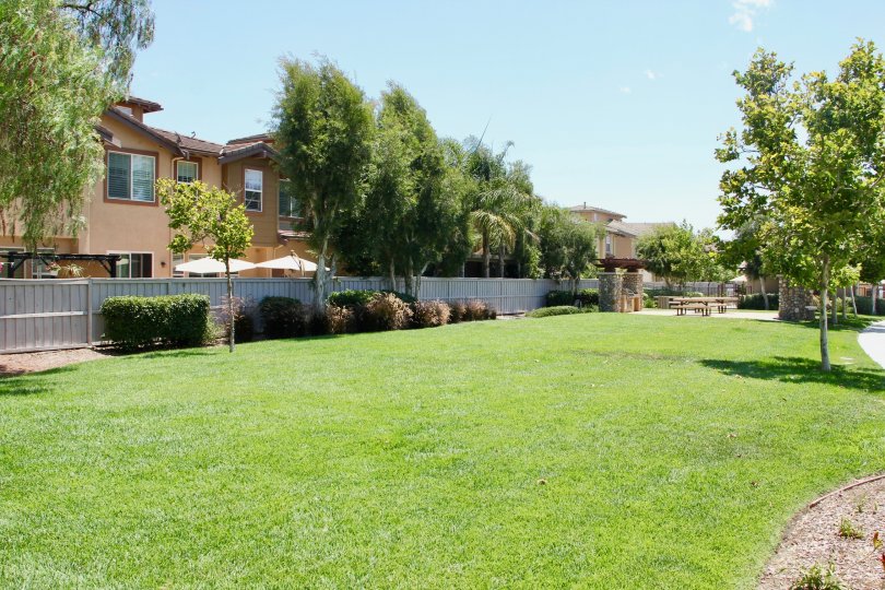 Amberwalk at Ivy Condos, Lofts & Townhomes For Sale Amberwalk at Ivy