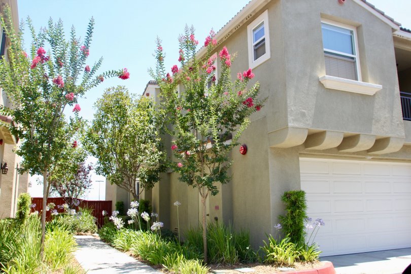 North Oaks Condos, Lofts & Townhomes For Sale North Oaks Real Estate North Oaks, Murrieta CA