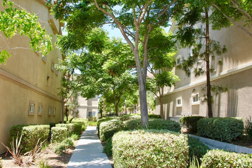 Reserves at Madison park Condos, Lofts & Townhomes For Sale Reserves