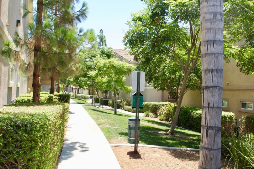 Reserves at Madison park Condos, Lofts & Townhomes For Sale Reserves