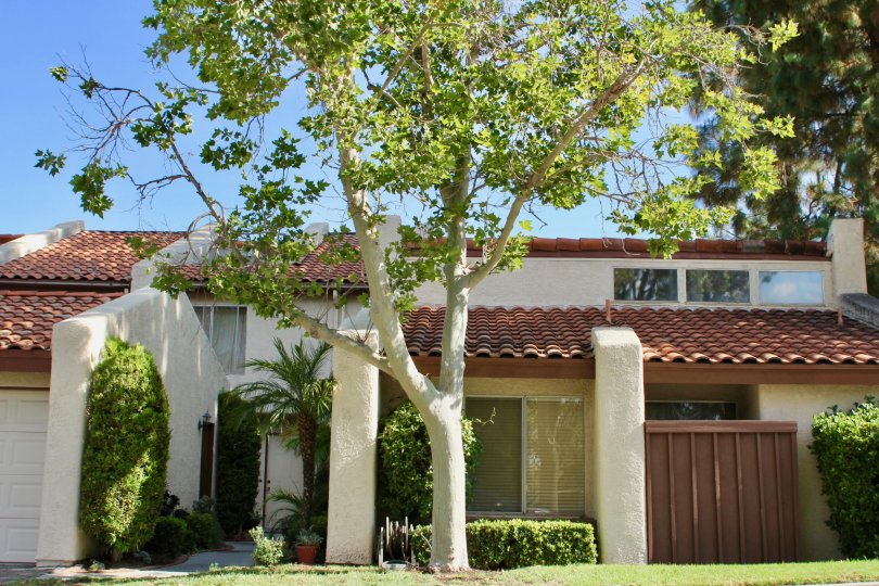 Ridgegate Condos, Lofts & Townhomes For Sale Ridgegate Real Estate Ridgegate, Murrieta CA