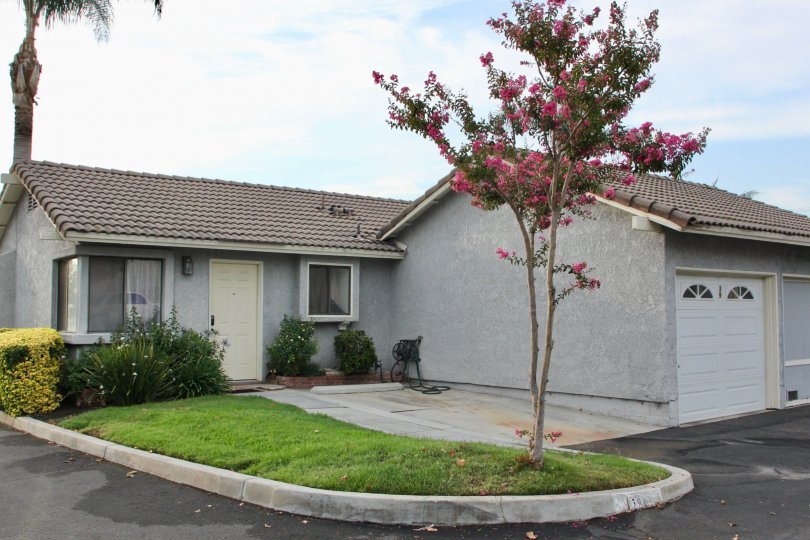 Arlington Woods Condos, Lofts & Townhomes For Sale Arlington Woods