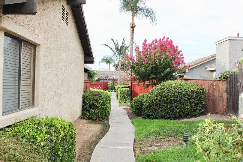 Arlington Woods Condos, Lofts & Townhomes For Sale Arlington Woods