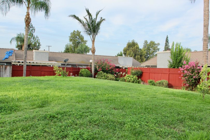 Arlington Woods Condos, Lofts & Townhomes For Sale Arlington Woods