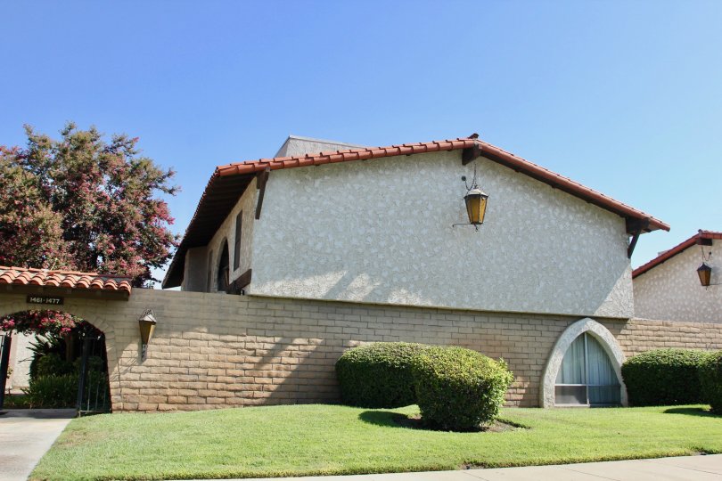 Buena Vida Condos, Lofts & Townhomes For Sale Buena Vida Real Estate