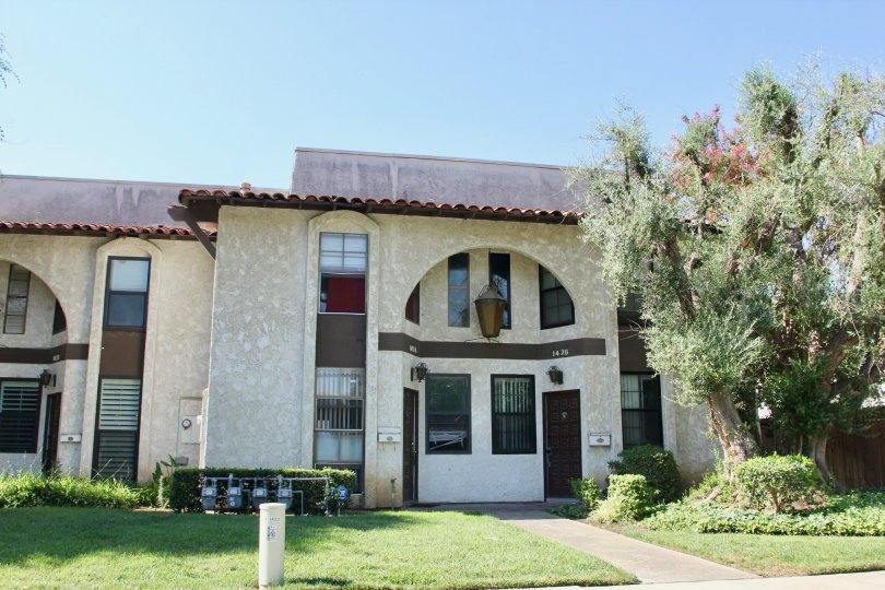 Buena Vida Condos, Lofts & Townhomes For Sale Buena Vida Real Estate