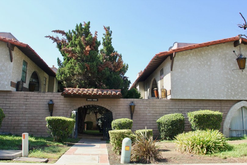 Buena Vida Condos, Lofts & Townhomes For Sale Buena Vida Real Estate