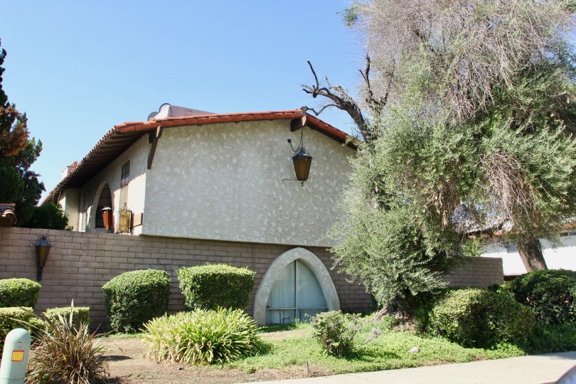 Buena Vida Condos, Lofts & Townhomes For Sale Buena Vida Real Estate