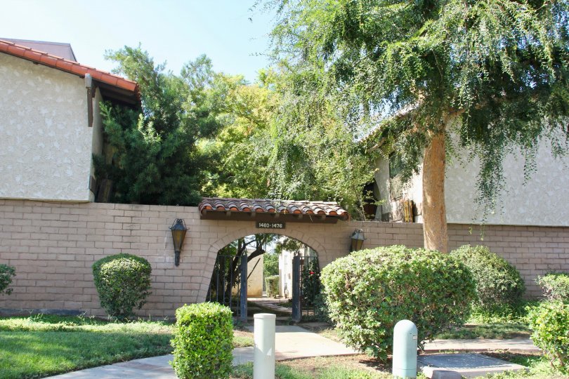 Buena Vida Condos, Lofts & Townhomes For Sale Buena Vida Real Estate