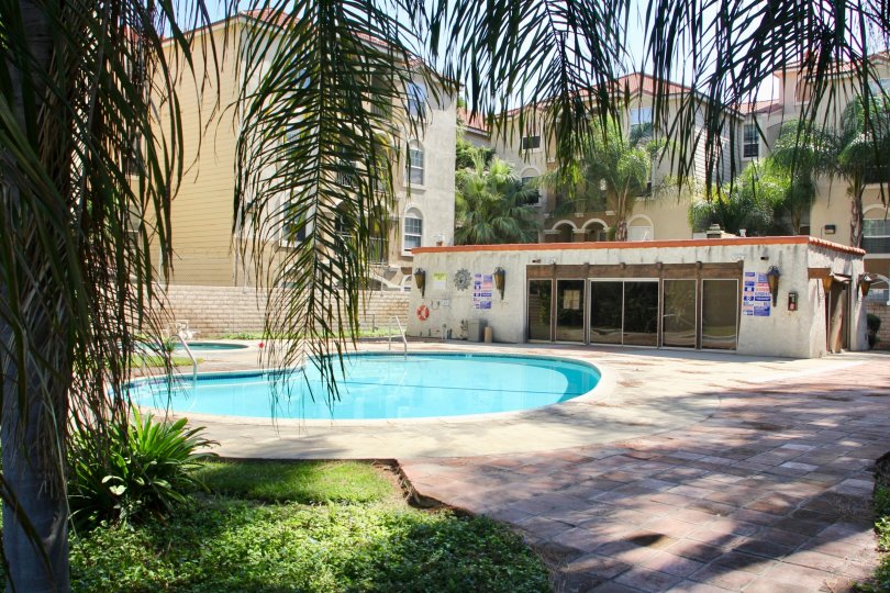 Buena Vida Condos, Lofts & Townhomes For Sale Buena Vida Real Estate