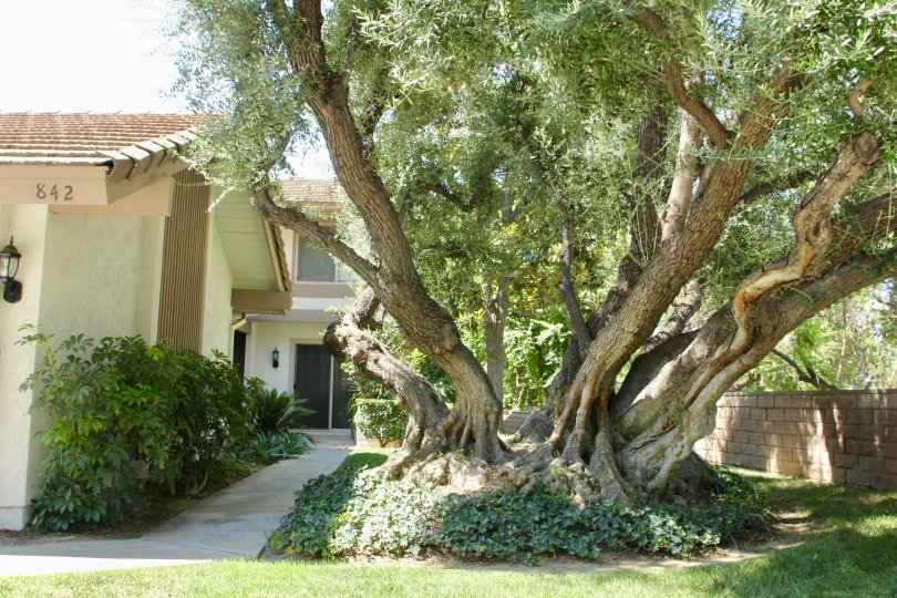 Canyon Crest Villas Condos, Lofts & Townhomes For Sale Canyon Crest