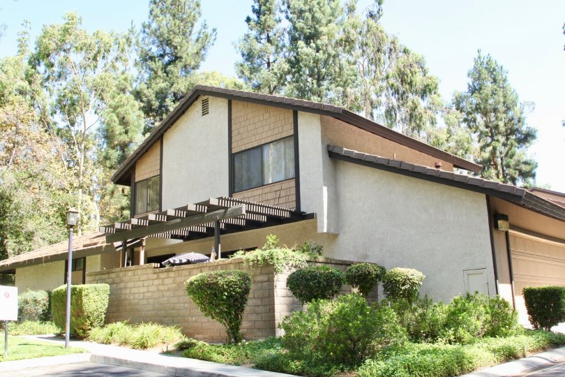 Canyon Tree Condos, Lofts & Townhomes For Sale Canyon Tree Real