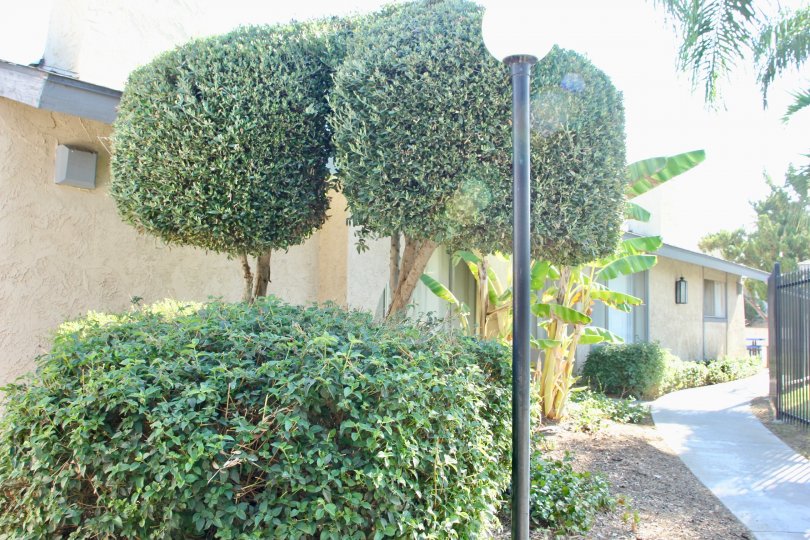 Casa De Oro Condos, Lofts & Townhomes For Sale Casa De Oro Real