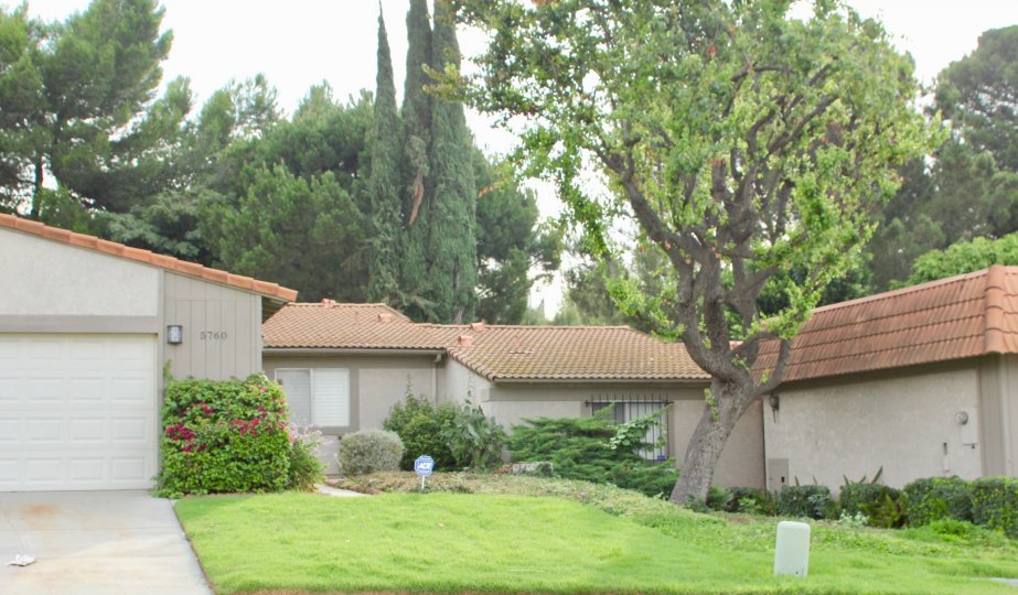 De Anza Verde Condos, Lofts & Townhomes For Sale De Anza Verde Real