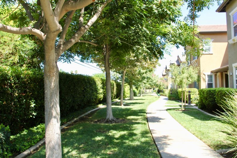 Square Condos, Lofts & Townhomes For Sale