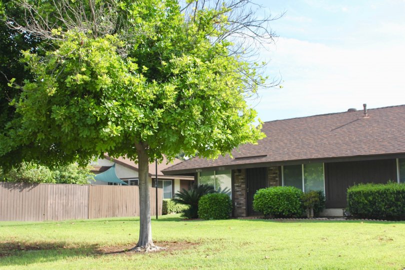 Loving Homes Greens Condos, Lofts & Townhomes For Sale Loving Homes