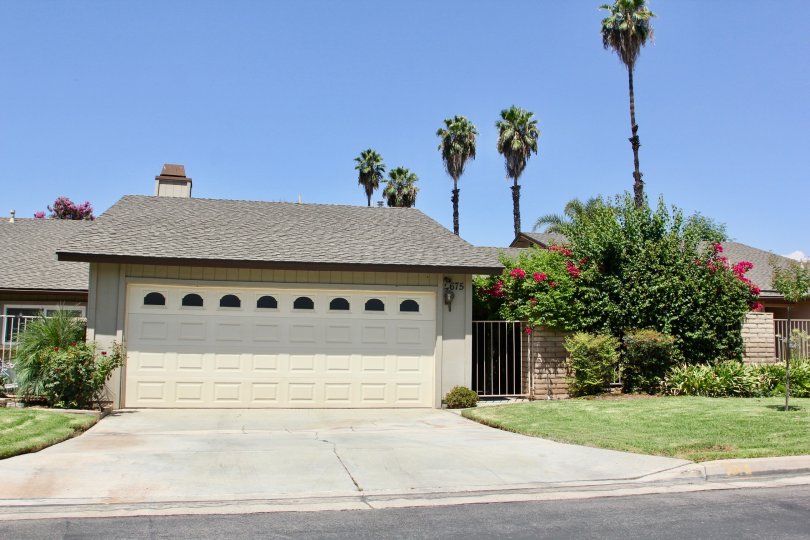 Palm Terrace Condos, Lofts & Townhomes For Sale Palm Terrace Real