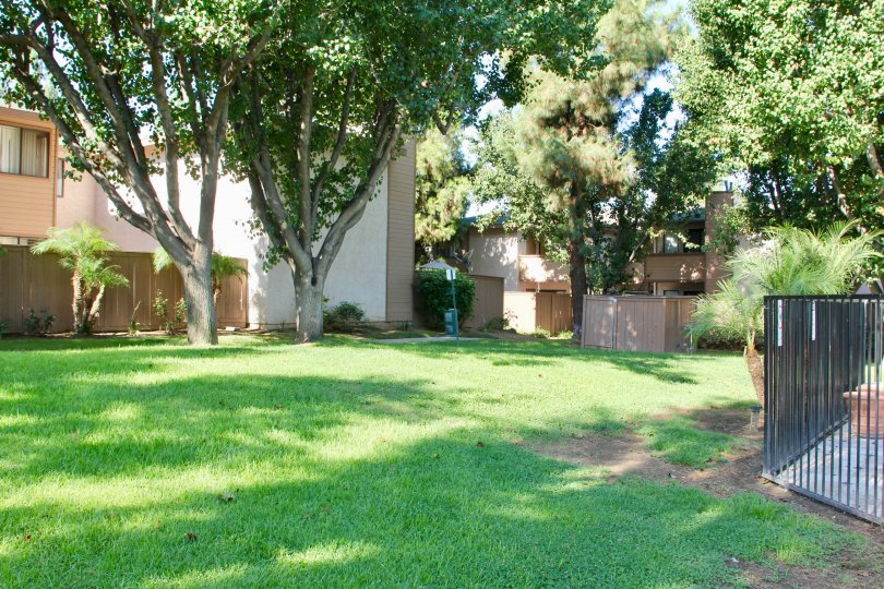 Palmilla Condos, Lofts & Townhomes For Sale Palmilla Real Estate