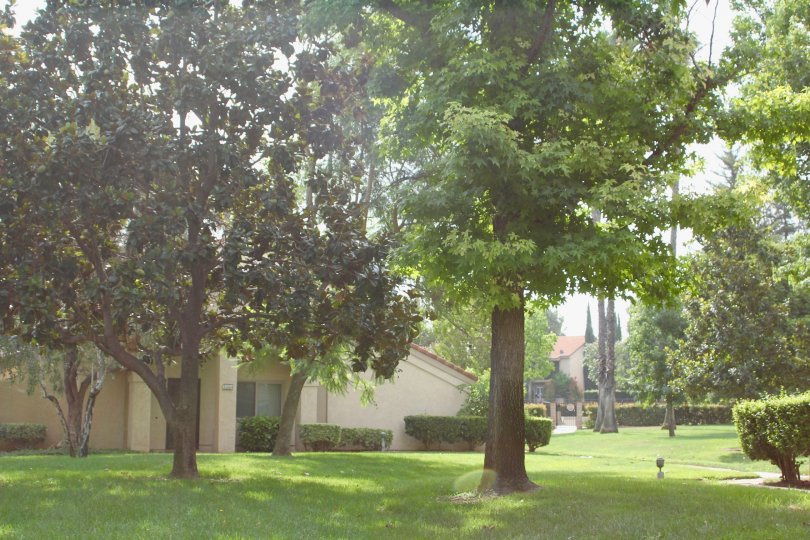 Park Granada Condos, Lofts & Townhomes For Sale Park Granada Real