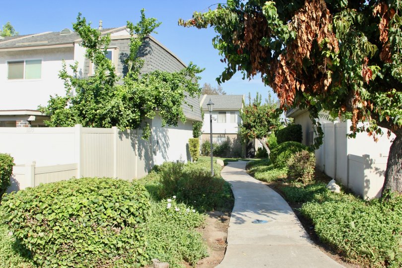 Parkdale Village Condos, Lofts & Townhomes For Sale Parkdale Village Real Estate Parkdale