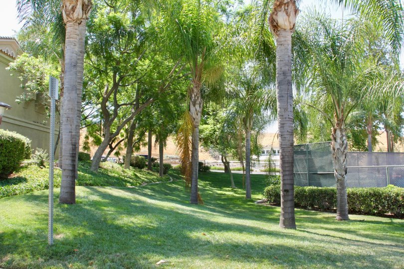 Sonata at Canyon Crest Condos, Lofts & Townhomes For Sale Sonata at