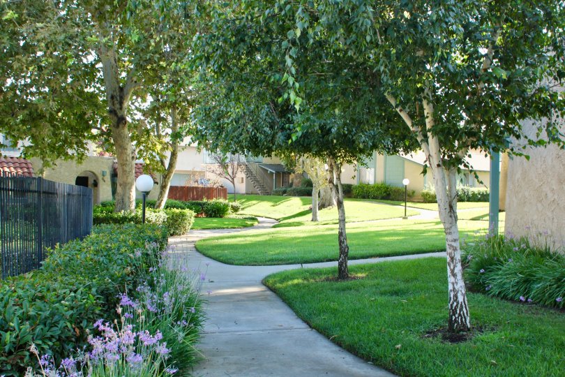 University Greens Condos, Lofts & Townhomes For Sale University