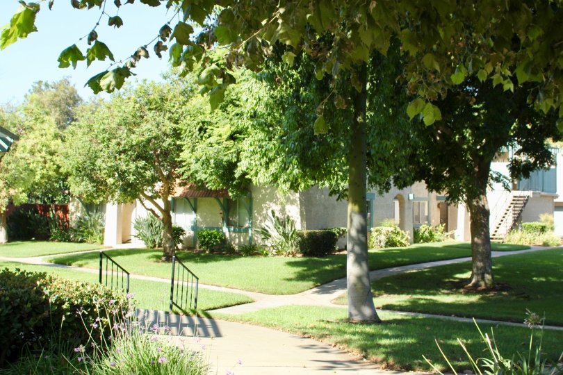 University Greens Condos, Lofts & Townhomes For Sale University Greens Real Estate