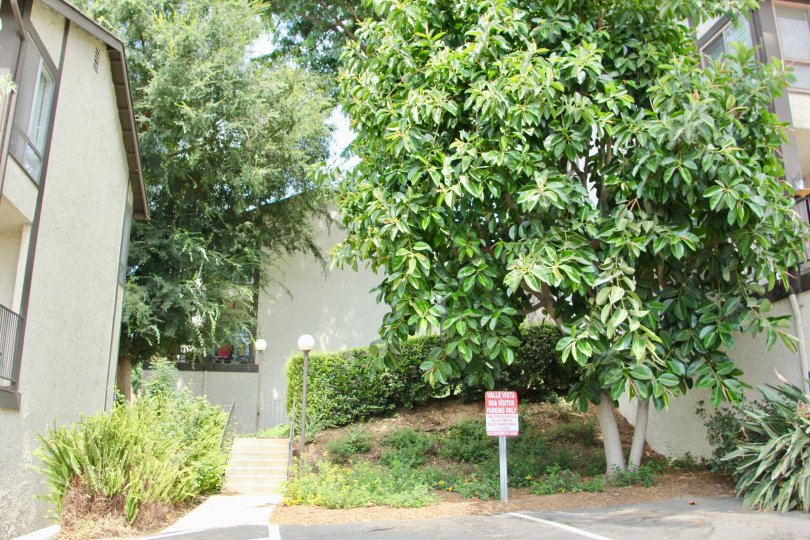 Valle Vista Condos, Lofts & Townhomes For Sale Valle Vista Real