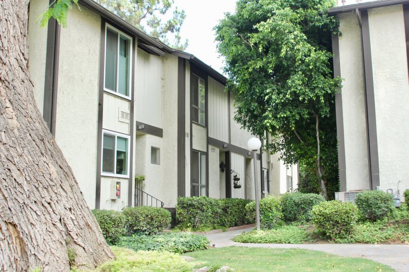 Valle Vista Condos, Lofts & Townhomes For Sale Valle Vista Real