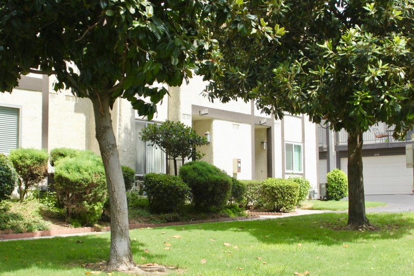 Valle Vista Condos, Lofts & Townhomes For Sale Valle Vista Real