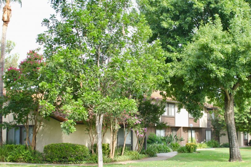 Victoria Village Condos, Lofts & Townhomes For Sale Victoria Village