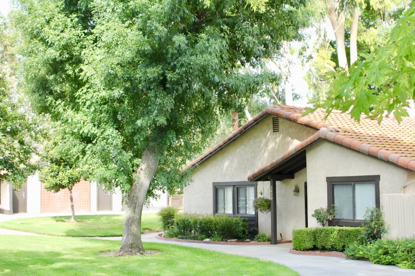 Victoria Village Condos, Lofts & Townhomes For Sale Victoria Village