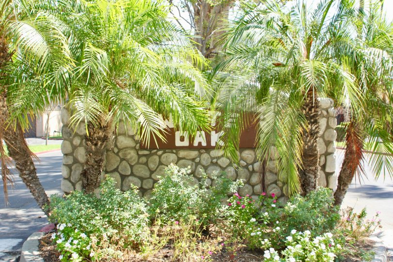 White Oak Condos, Lofts & Townhomes For Sale White Oak Real Estate