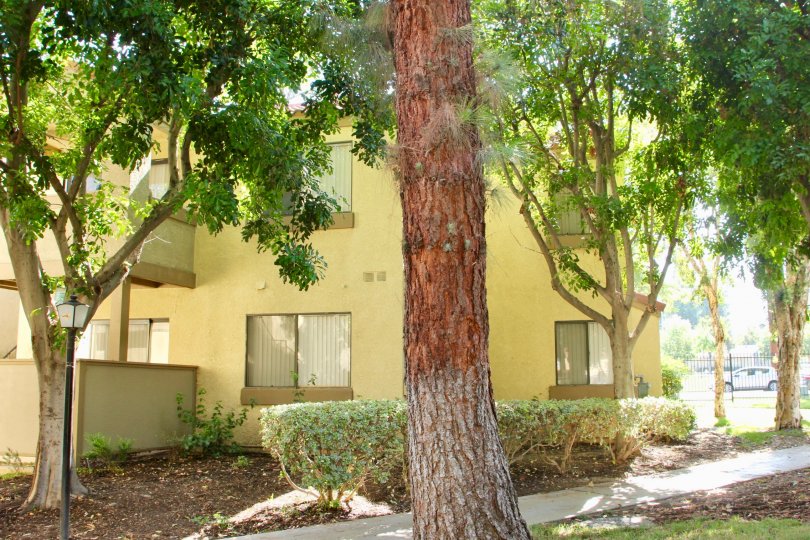 Woodlands Condos, Lofts & Townhomes For Sale Woodlands Real Estate