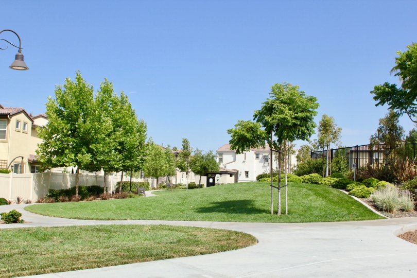 Aldea Condos, Lofts & Townhomes For Sale Aldea Real Estate Aldea