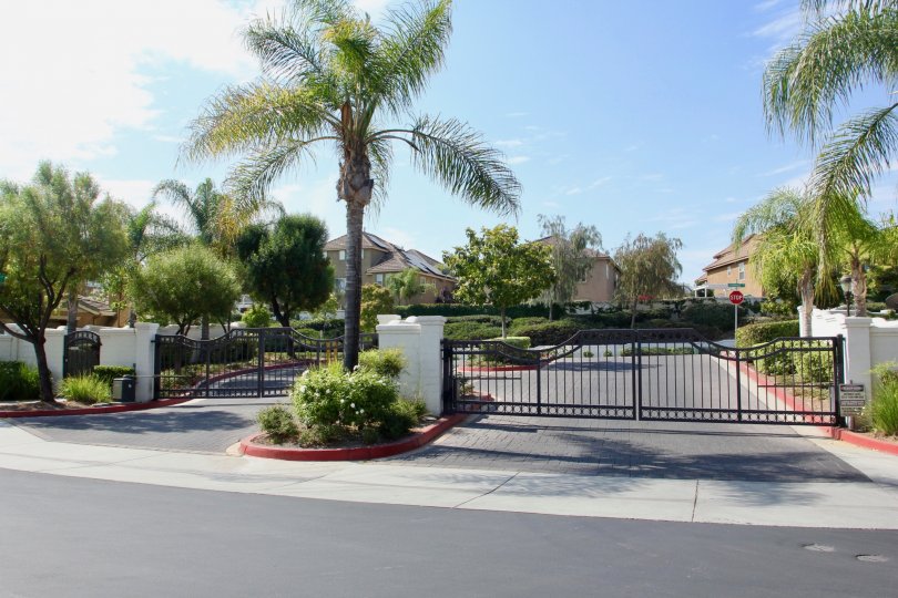 Auberry Place Condos, Lofts & Townhomes For Sale Auberry Place Real