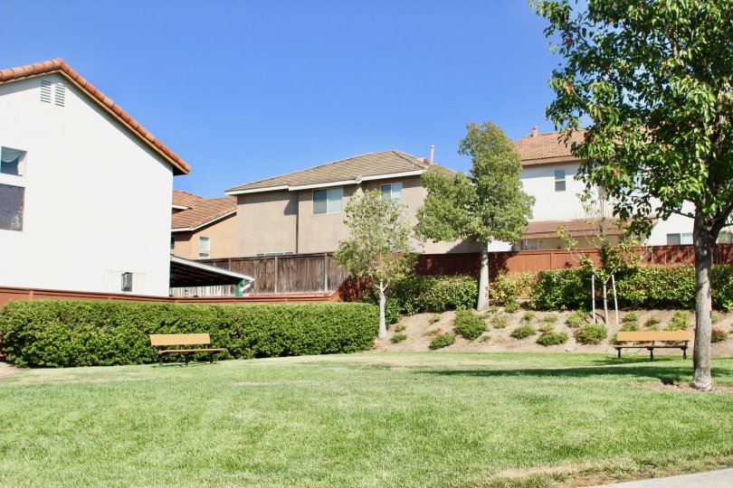 Laurel Creek Condos, Lofts & Townhomes For Sale Laurel Creek Real