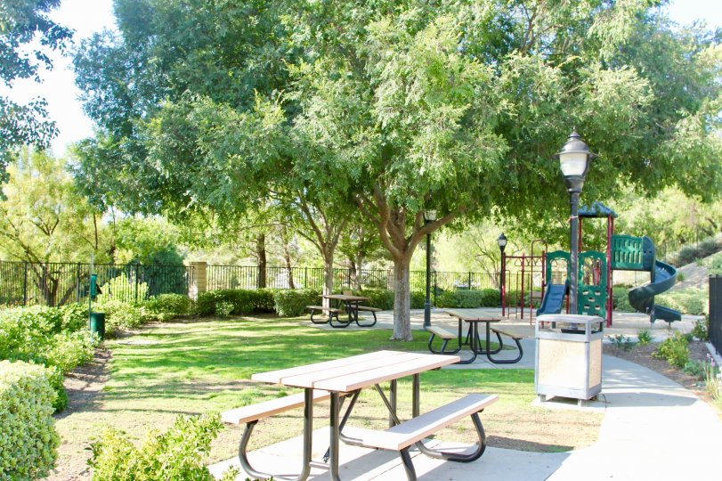 Laurel Creek Condos, Lofts & Townhomes For Sale Laurel Creek Real