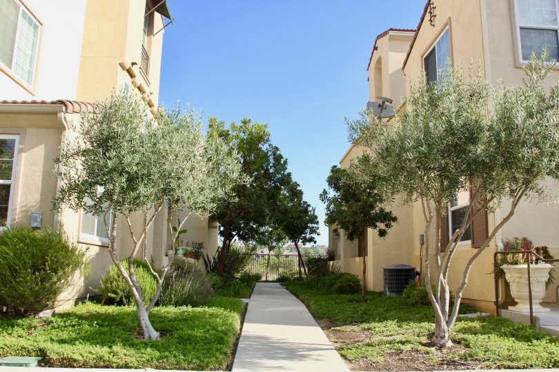 Reflections at Temecula Lane Condos, Lofts & Townhomes For Sale