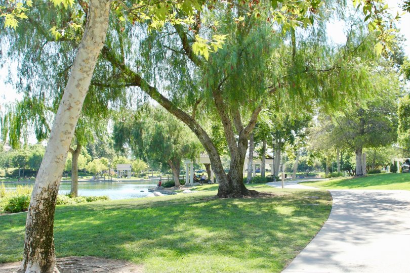 Savannah at Harveston Condos, Lofts & Townhomes For Sale Savannah at