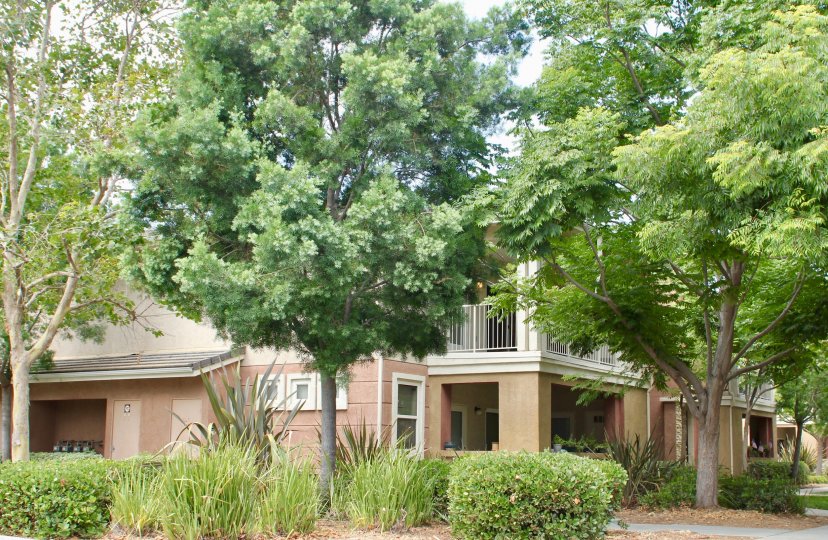 Temecula Creek Village Condos, Lofts & Townhomes For Sale Temecula