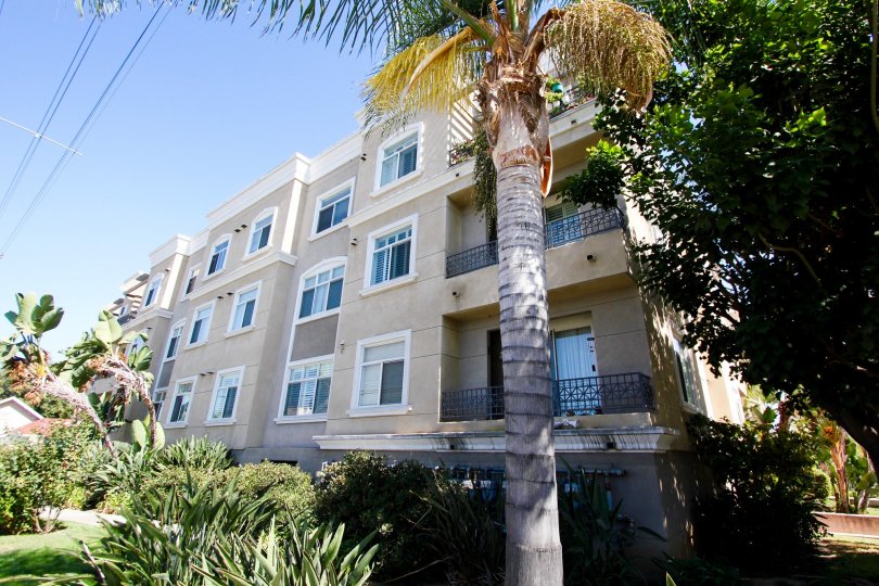 Woodward Manor Condos, Lofts & Townhomes For Sale Woodward Manor Real