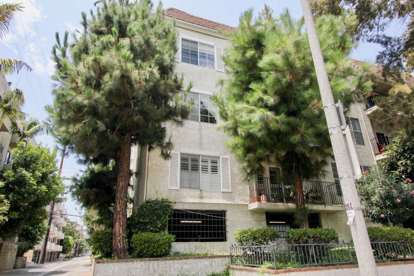 317 S Holt Condos, Lofts & Townhomes For Sale 317 S Holt Real Estate