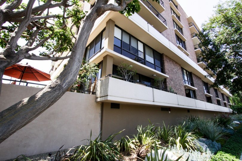 211 Spalding Condos, Lofts & Townhomes For Sale 211 Spalding Real