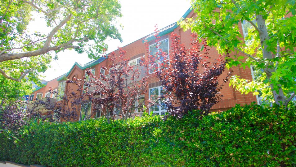 Almont Plaza Condos, Lofts & Townhomes For Sale Almont Plaza Real